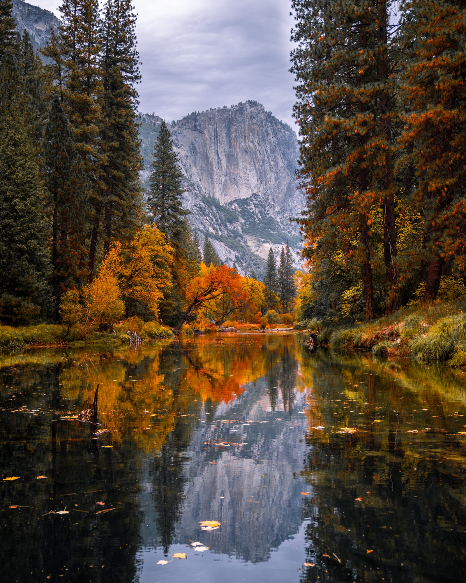 Autumn trees and a granite cliff reflected in the calm Merced River, with fallen leaves on the water.
