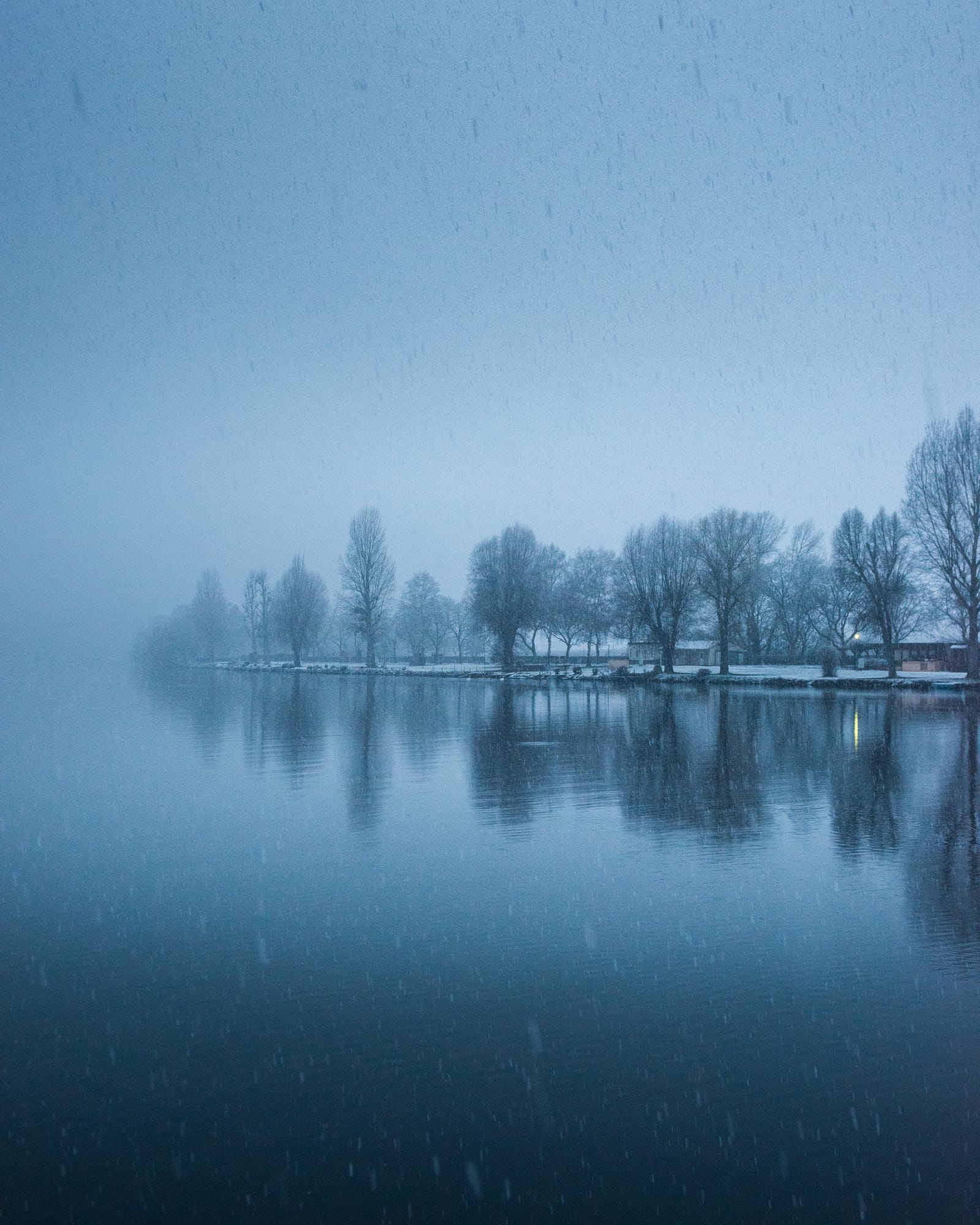 Bare trees on a riverbank fading into blue fog and falling snow, mirrored in still water.